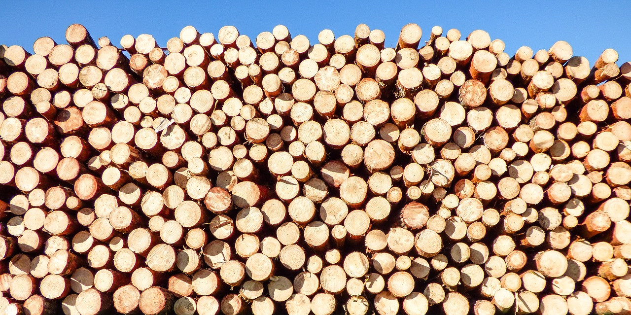 Торговля круглым лесом в Финляндии увеличилась в 2021 году на 27%