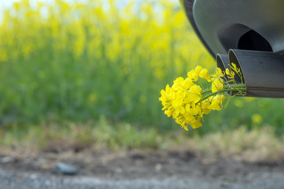 В UPM Biofuels спрогнозировали развитие биотопливной отрасли в 2022 году