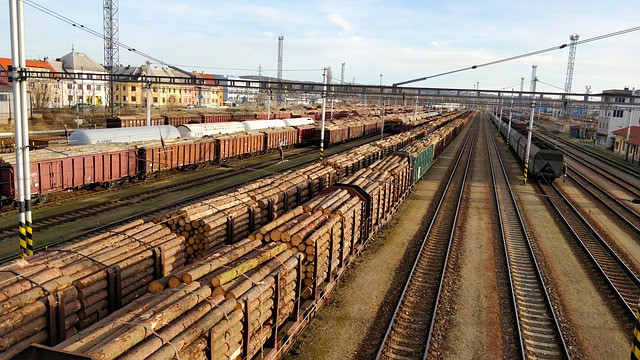 В 2021 году Сибирь экспортировала более 16 млн кубометров леса