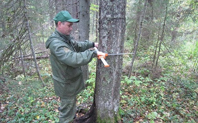 Вологодский ОМЗ начнет выпускать приборы для таксации лесов