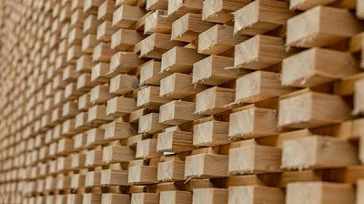 Осенью 2022 года Mets&auml; Fibre закроет лесопильный завод в Финляндии