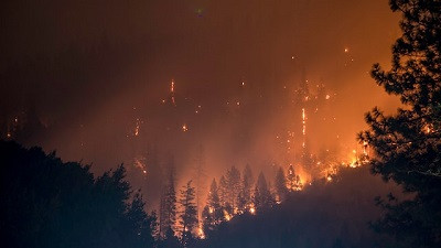 Более чем в четыре раза сократилась площадь лесных пожаров на Дальнем Востоке